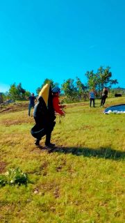 Tick tick boom. 🌺 🪂 🌳